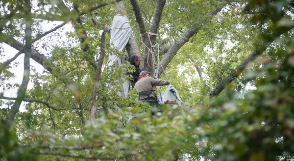 Tree People Tree People
