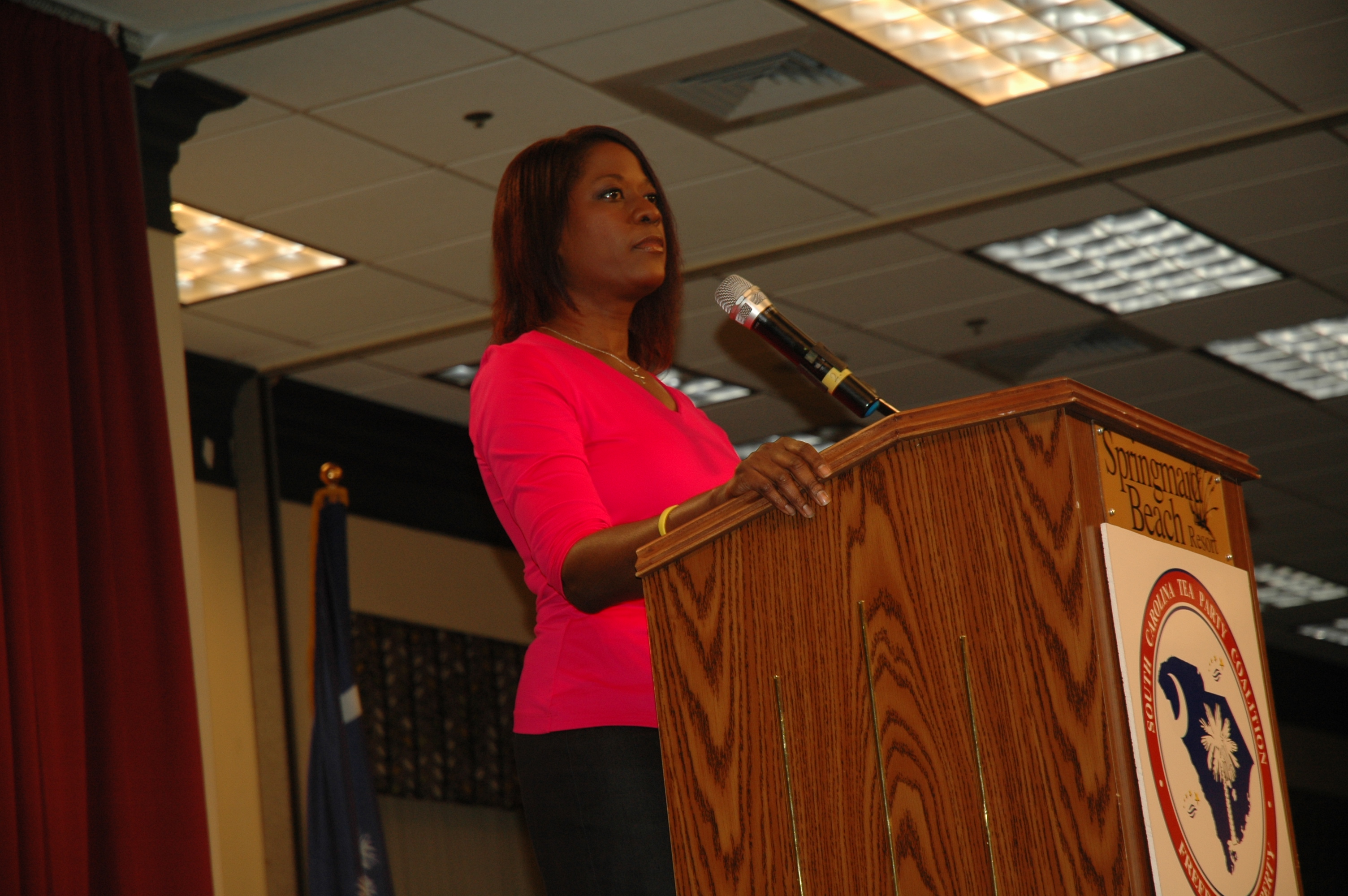 Deneen Borelli Net Worth - 030lipw