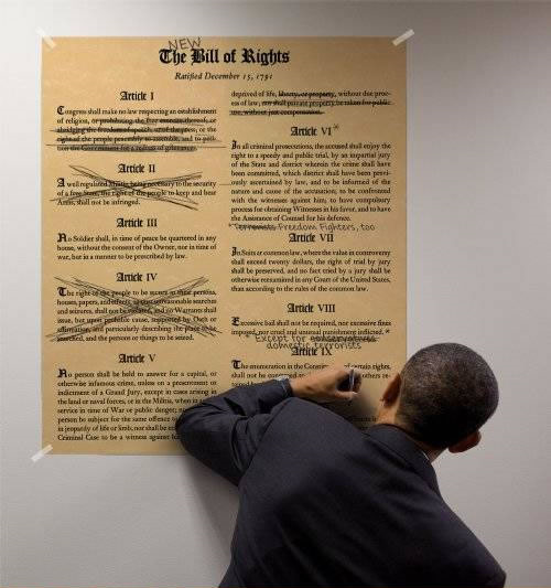 Obama Constitution
